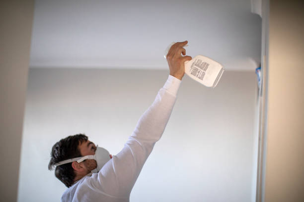 Best Crawl Space Mold Removal  in Eaton, OH