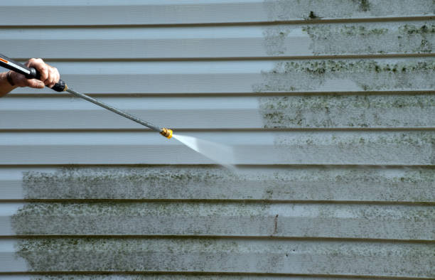Best Local Mold Removal Service  in Eaton, OH