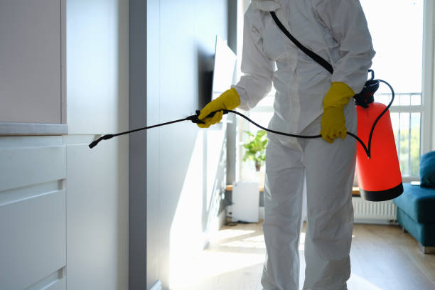 Best Fast Mold Removal  in Eaton, OH
