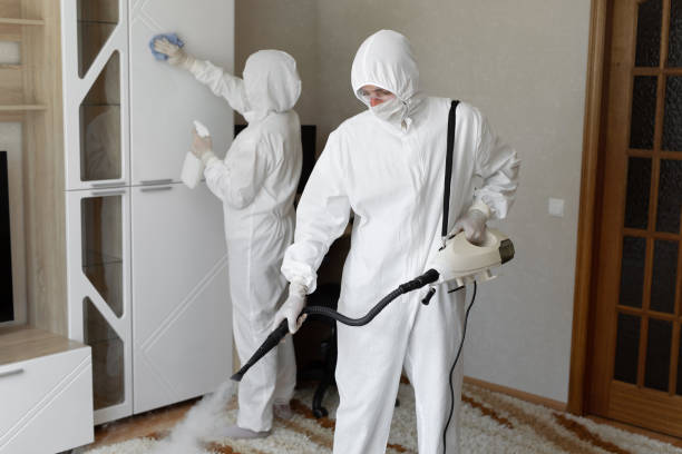 Best Professional Mold Removal  in Eaton, OH