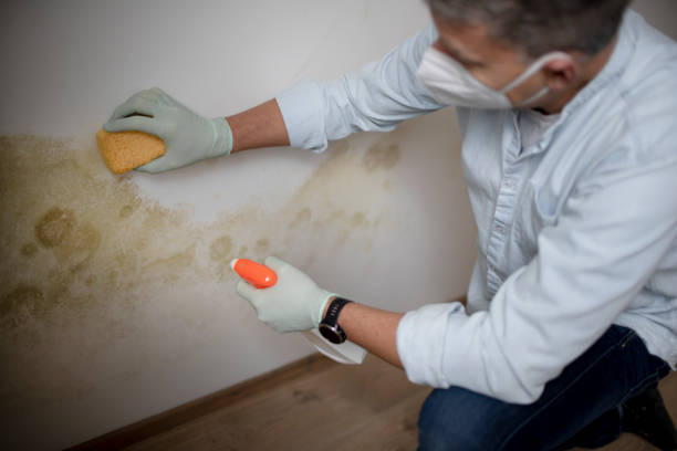 Best Crawl Space Mold Removal  in Eaton, OH