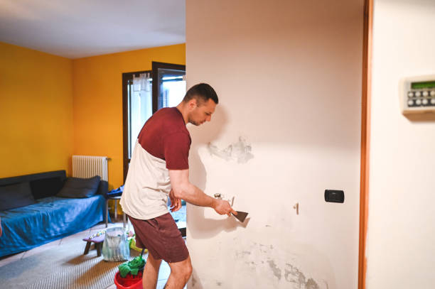 Eaton, OH Mold Removal Company