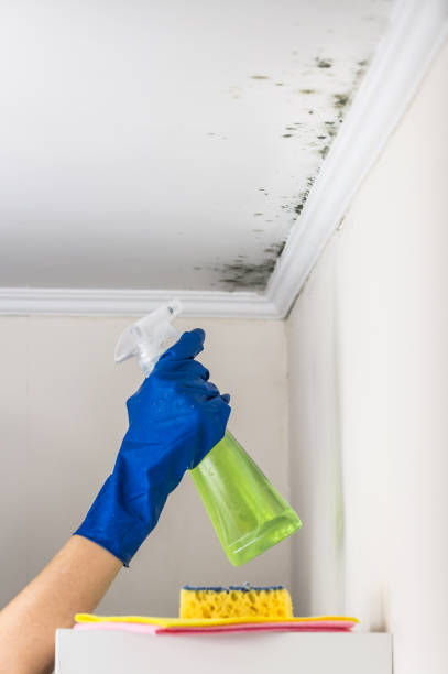 Water Damage Restoration in Eaton, OH